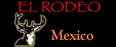 Mule Deer and Coues Deer Hunting in Sonora, Mexico